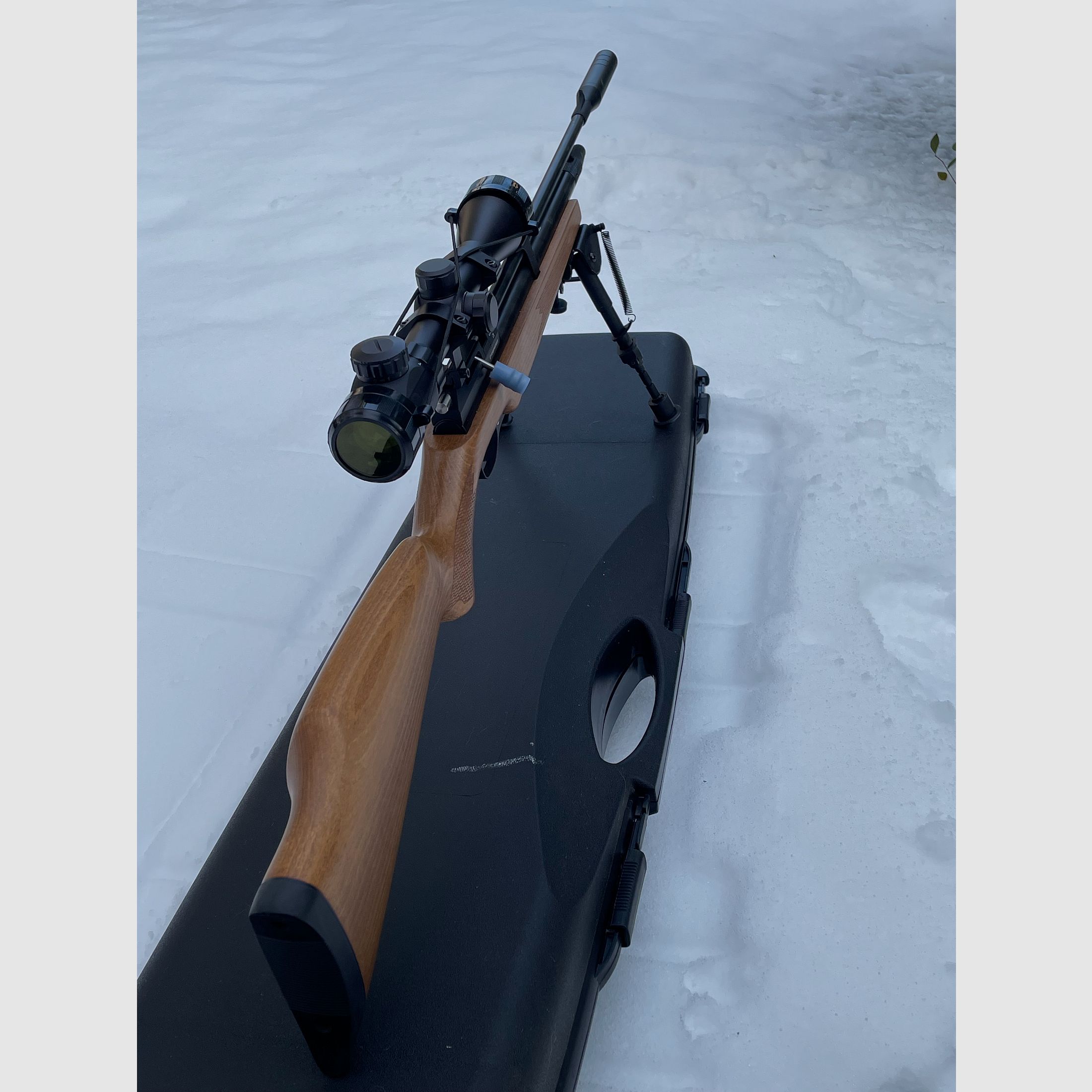 Diana Trailscout Wood Co2 4.5 diabolo p18