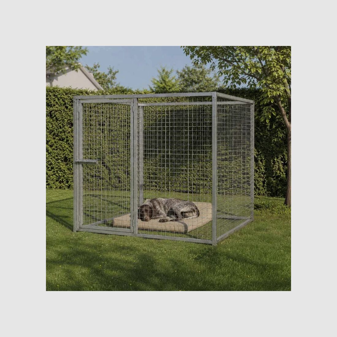 Cucce per cani in rete quadrata con porta e pannelli 2 m, immagine 2 di 15