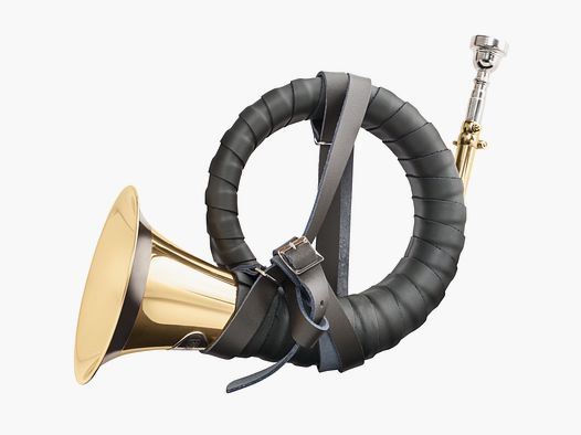 Książęco-Pless-Horn de Luxe