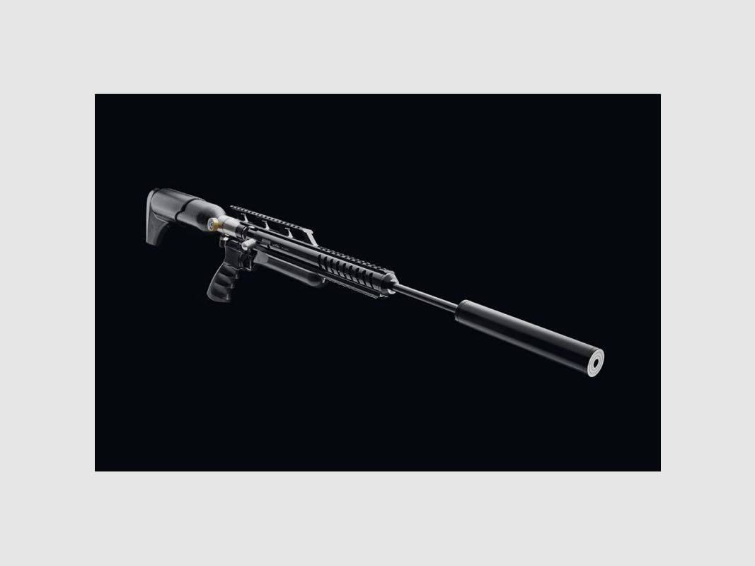 Carabina PCP Arcea-Snowpeak M18, immagine 2 di 6