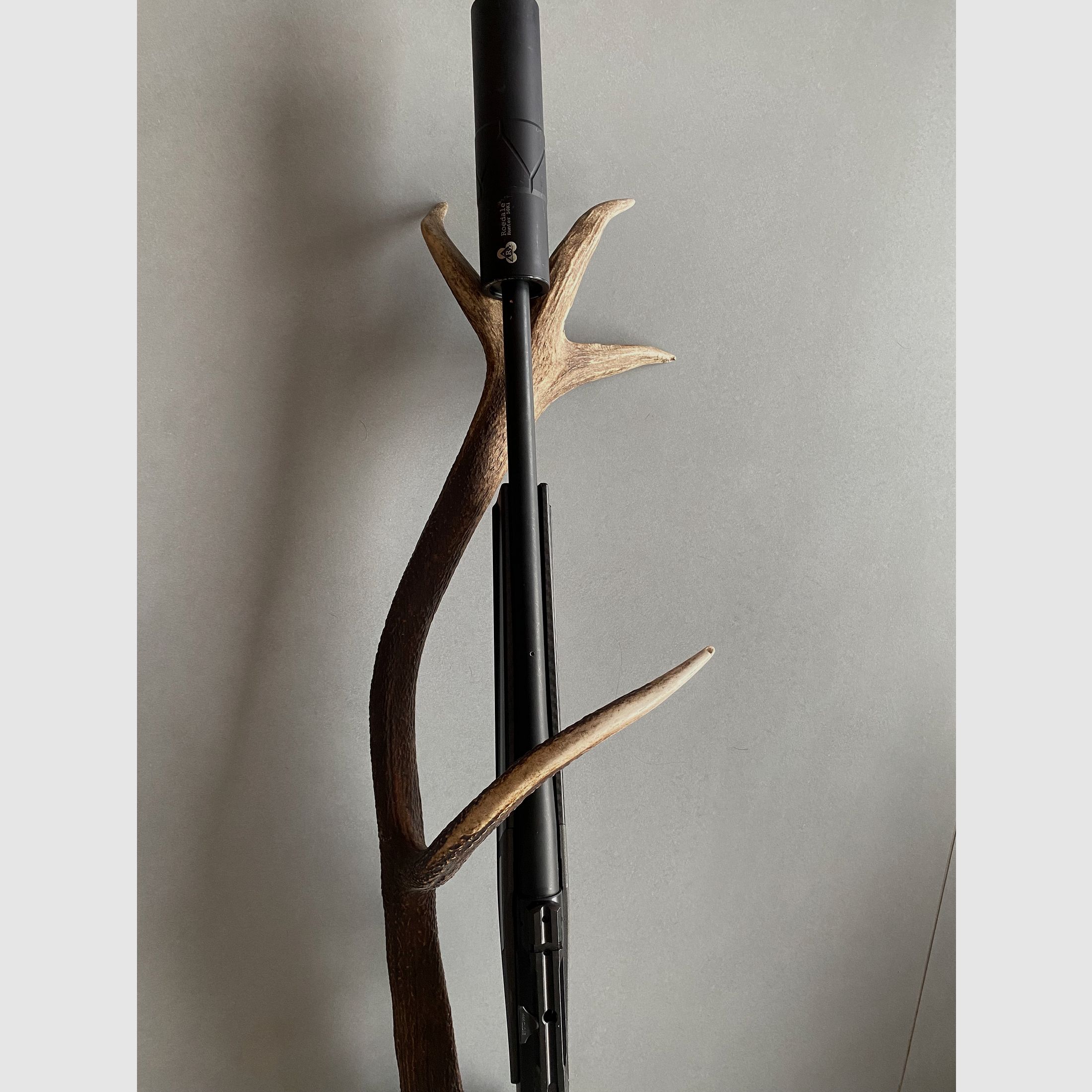 Sauer 202 carbon stock caliber 308