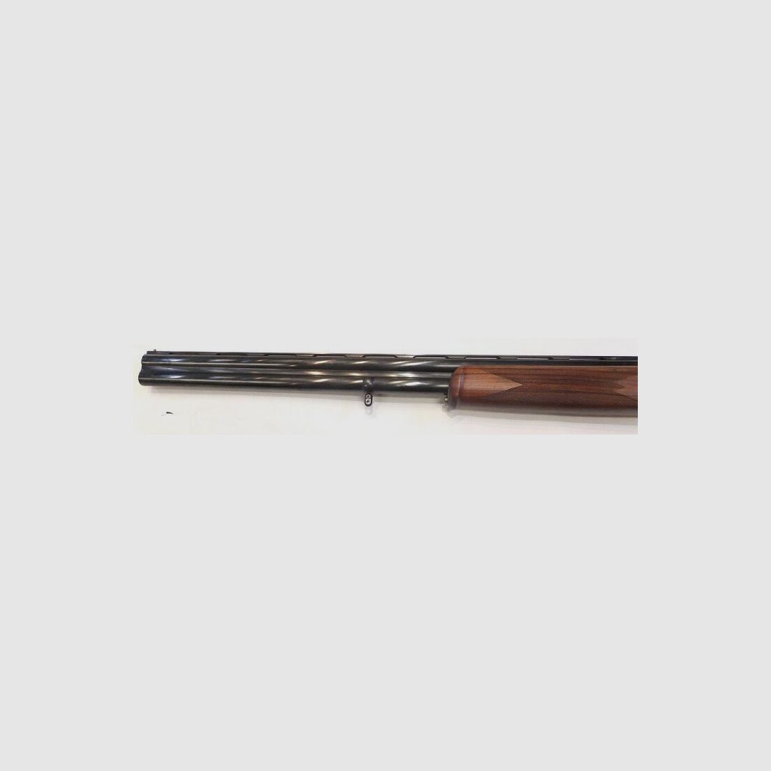Rottweil used weapon Paragon