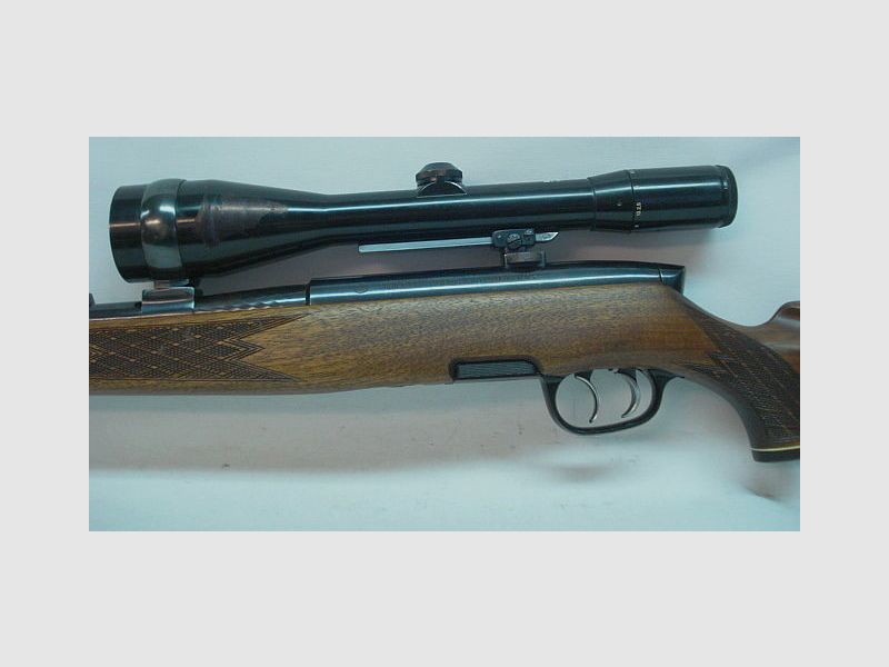 Steyr Mannlicher S +Zeiss Diav.D2,5-