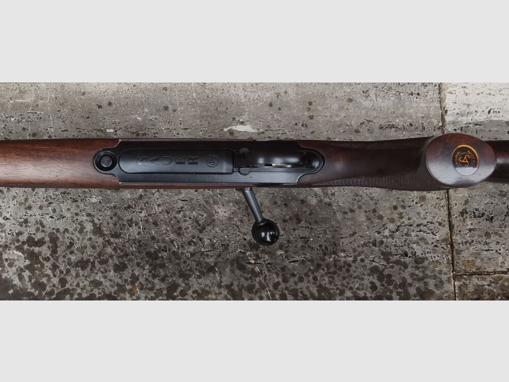 Sauer 200