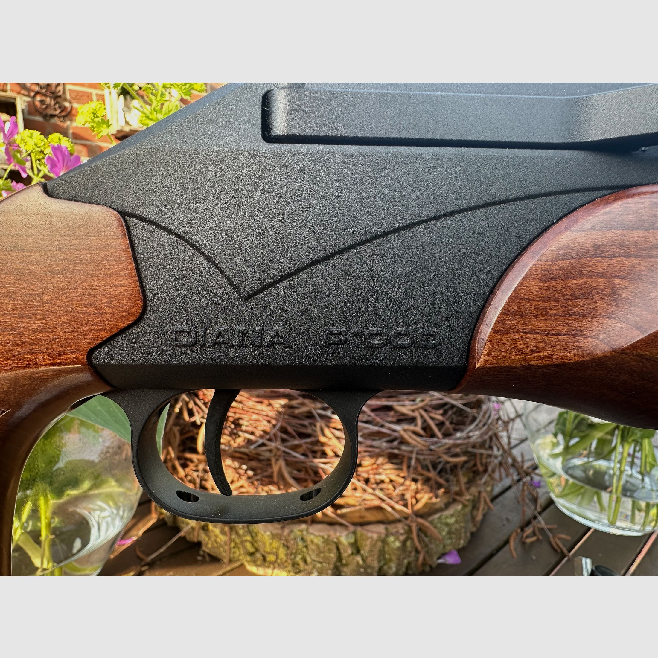Diana P1000 Pressluftgewehr PCP Rarität 