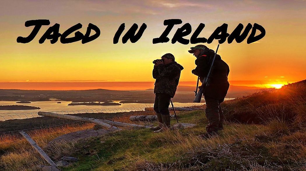 Jagd in Irland Teil 1