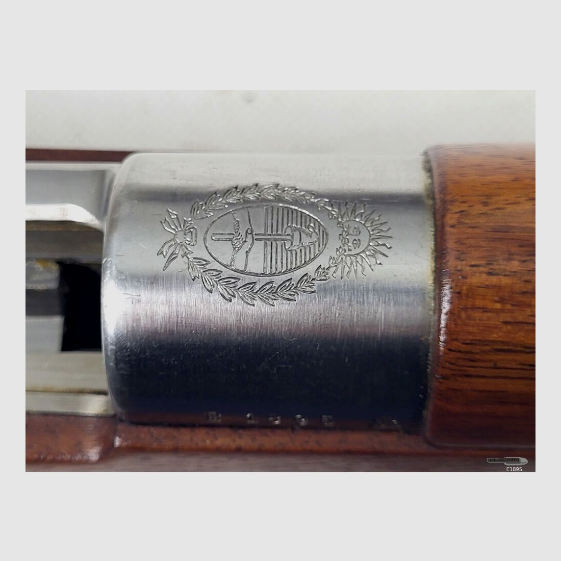 DWM Argentino 1909