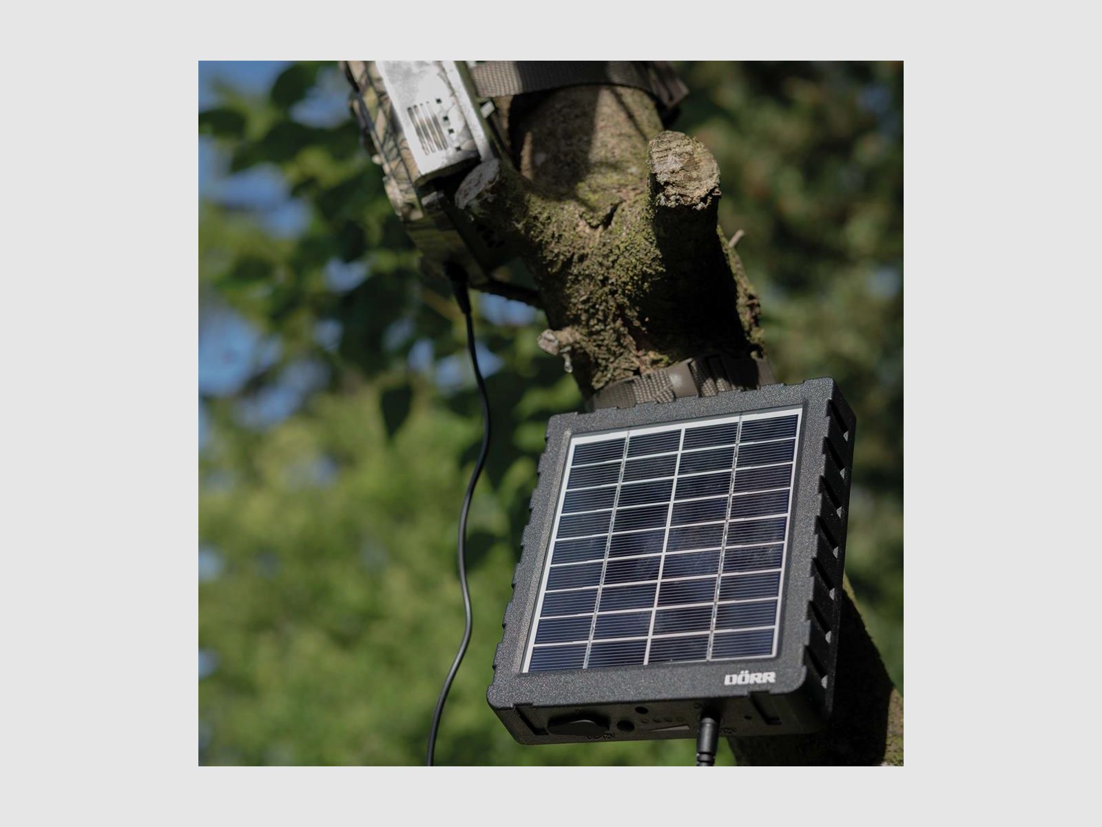 DÖRR Solar Panel Li-1500 12V/6V