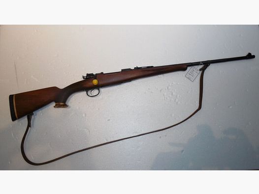 Steyr (bnz) 98
