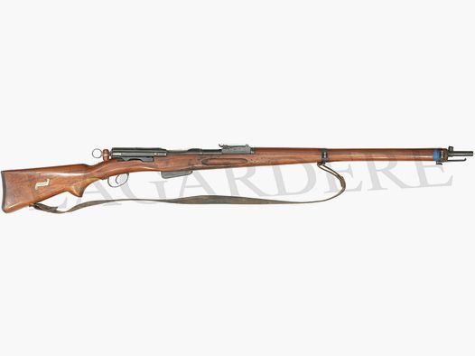 SCHMIDT-RUBIN 1889-96
