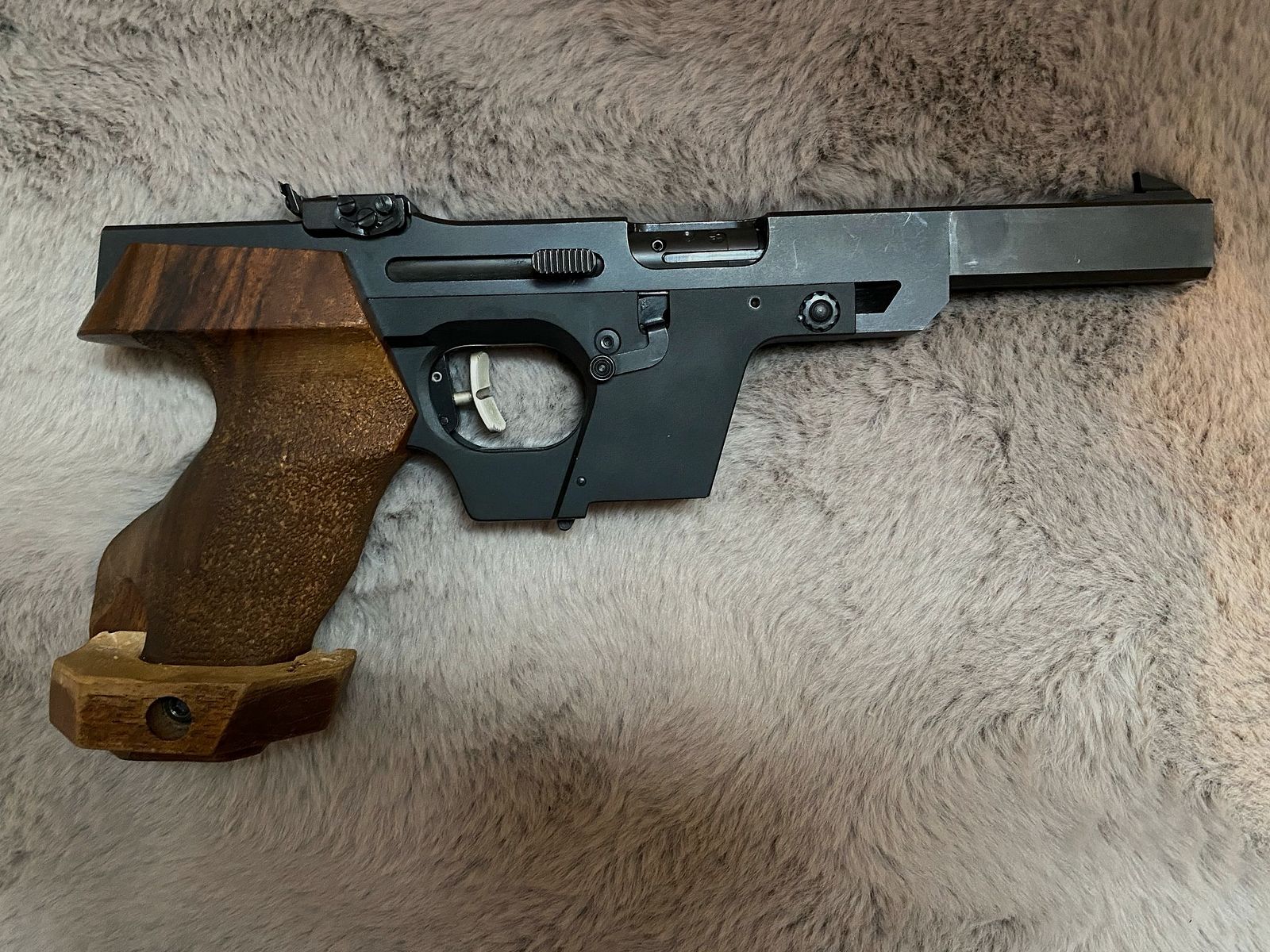 Walther GSP