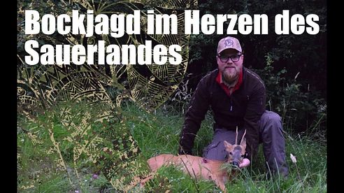 Bockjagd im Herzen des Sauerlandes