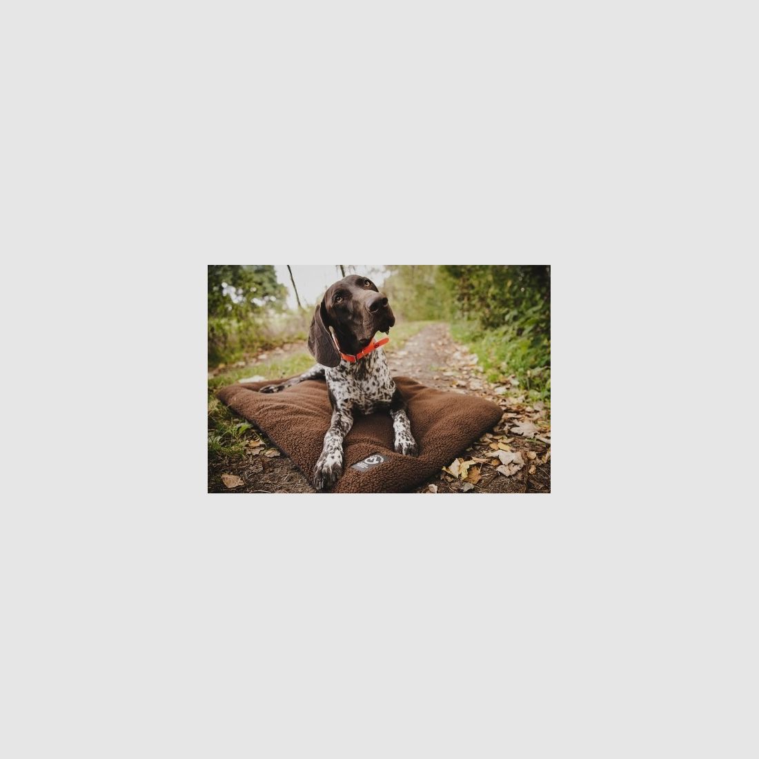 Farm-Land Hundedecke Faserpelz 70x100cm verschiedene Farben