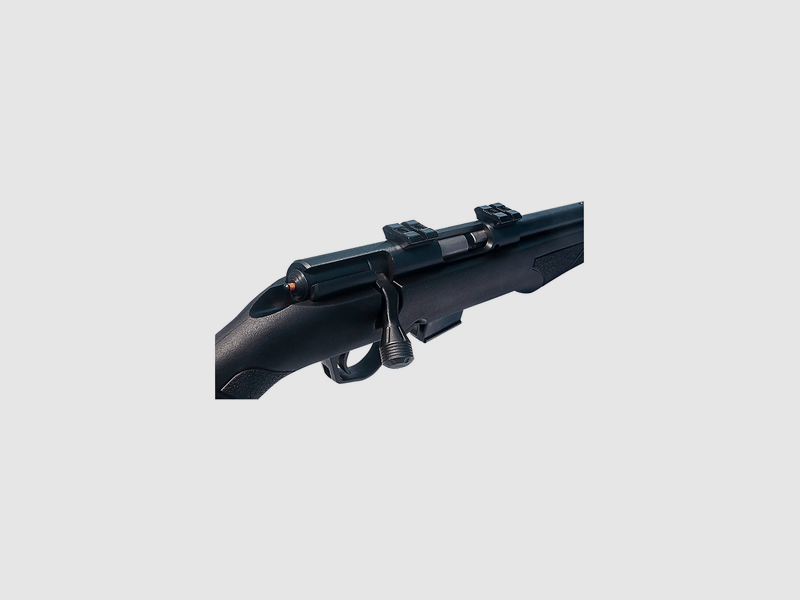 Rossi 8117 17HMR, Bild 3 von 4