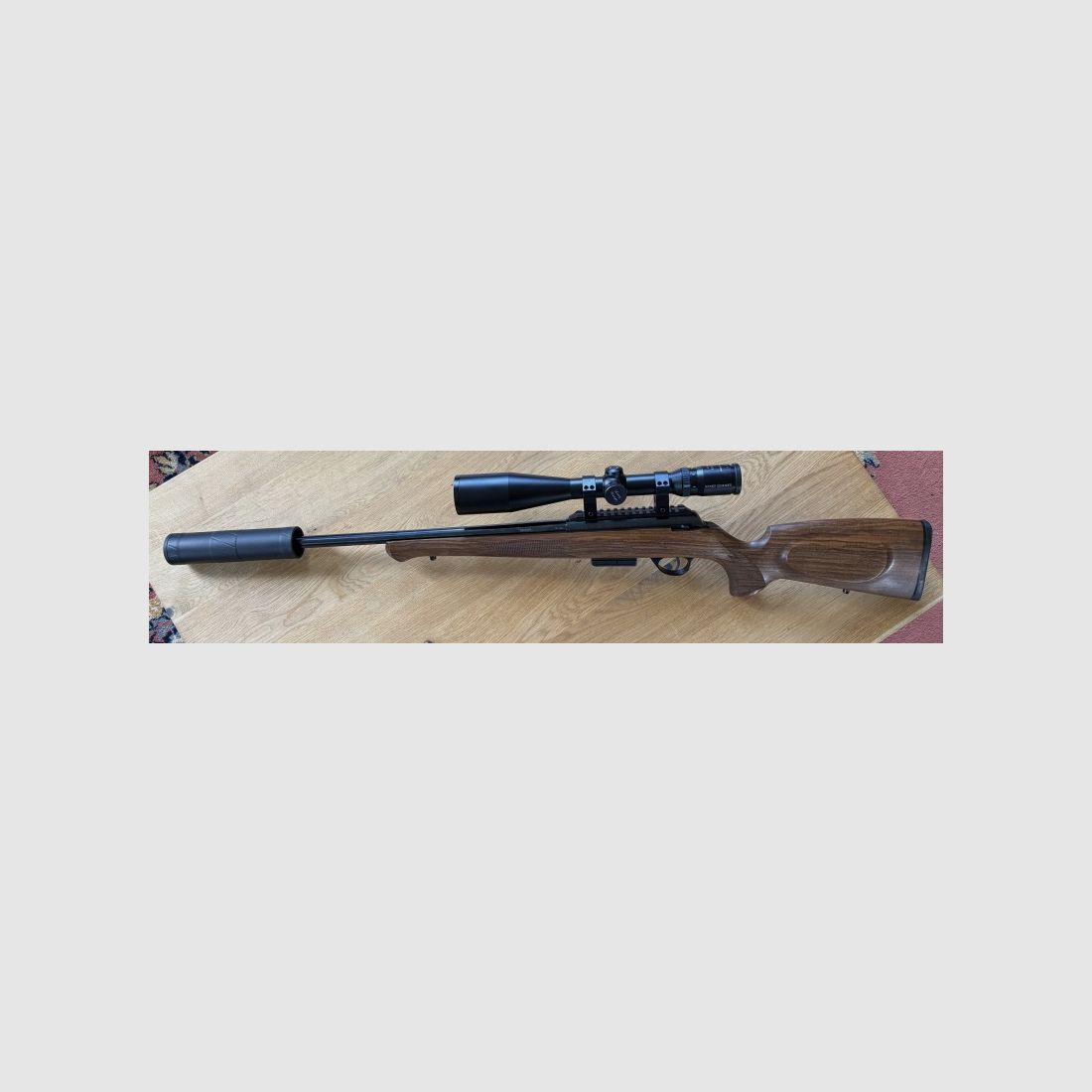 Anschutz Cal. 17 Hornet con 4-16x50 Schmidt & Bender
