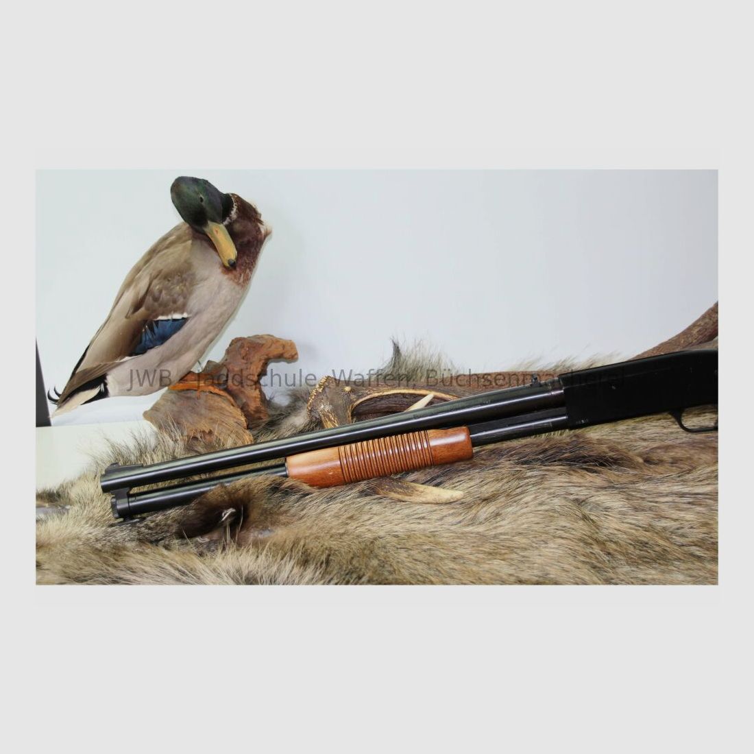 Mossberg ATB 85 12/70