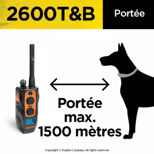 Collare da addestramento Dogtra 2600t&b