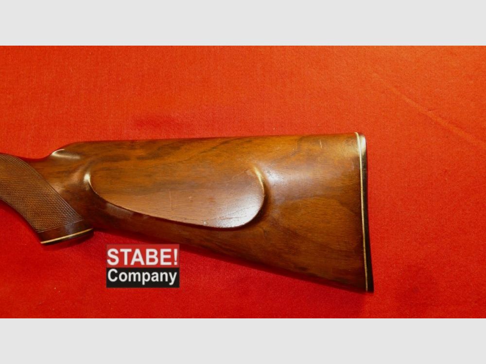 AYA Espagne Busard des roseaux