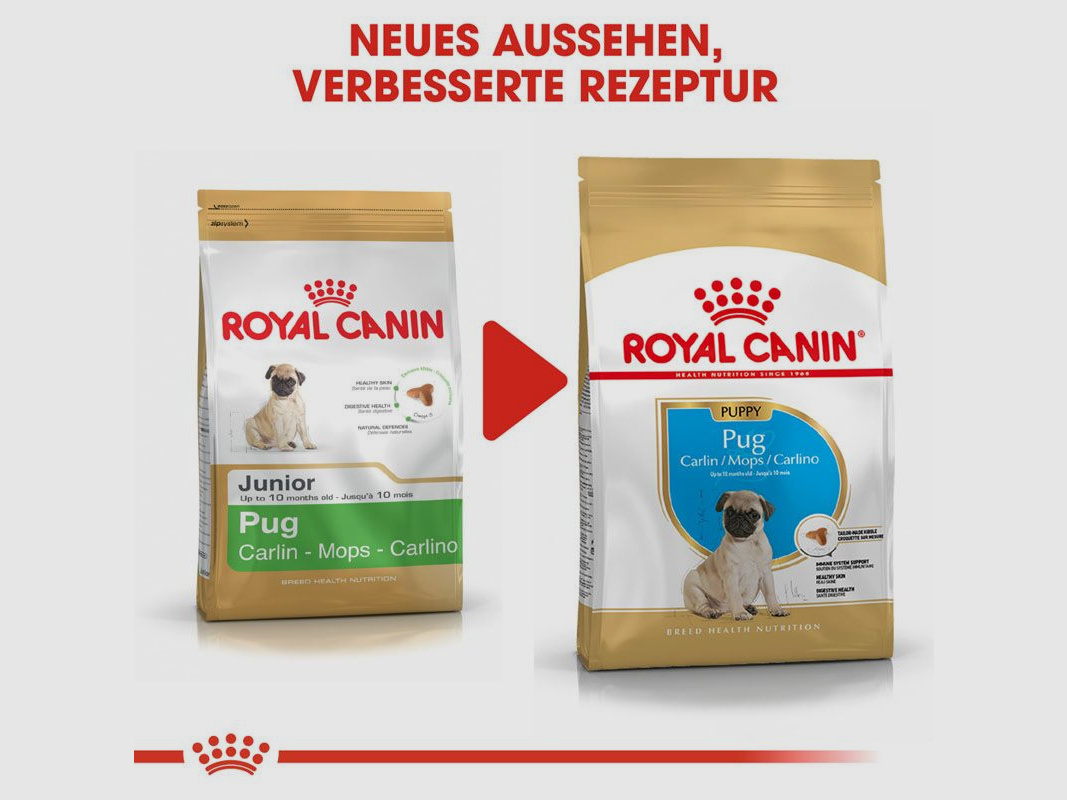 ROYAL CANIN Mops Trockenfutter Adult 3 Kg
