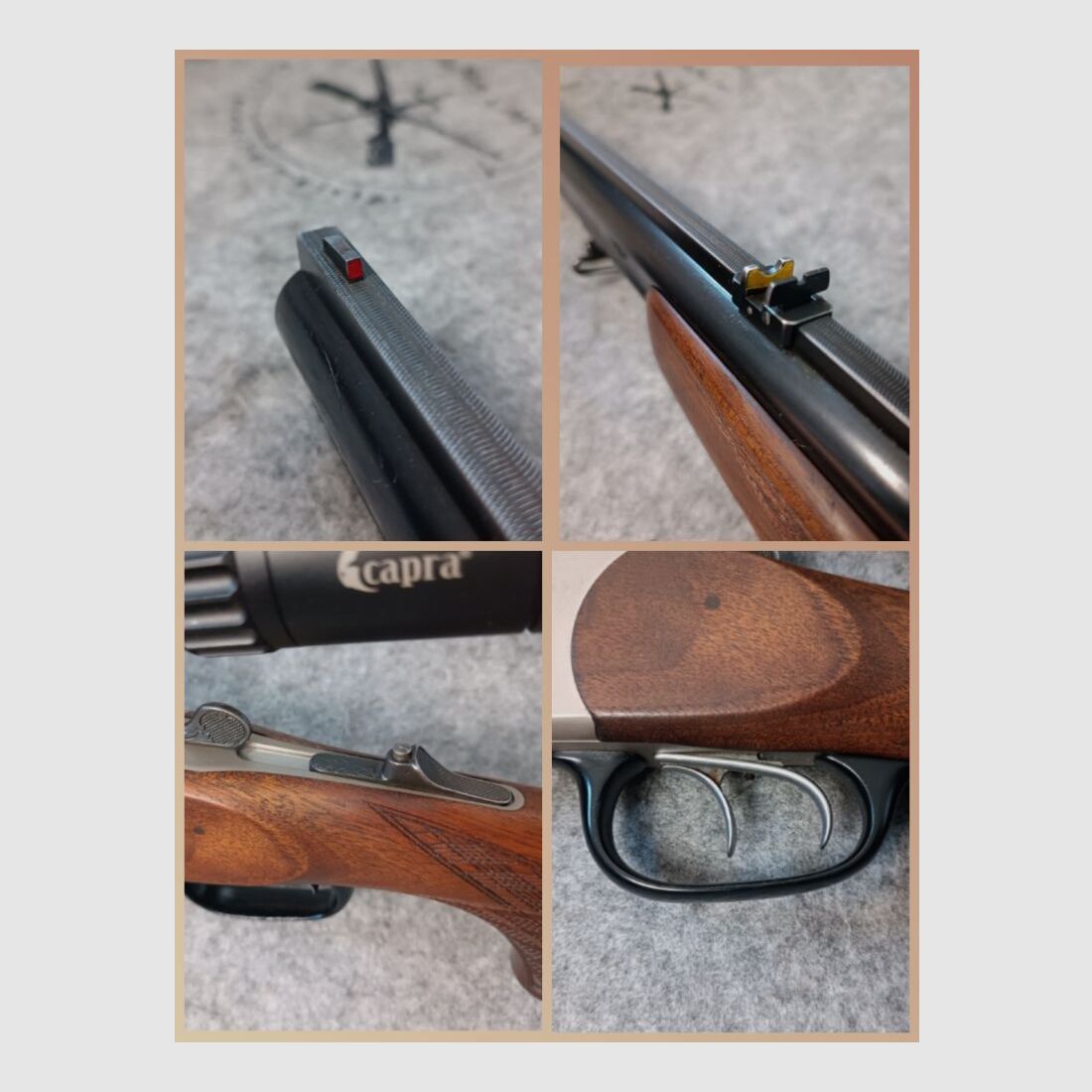 Blaser ES 80 mit Zielfernrohr Capra 2-12x50 Leuchtpunkt