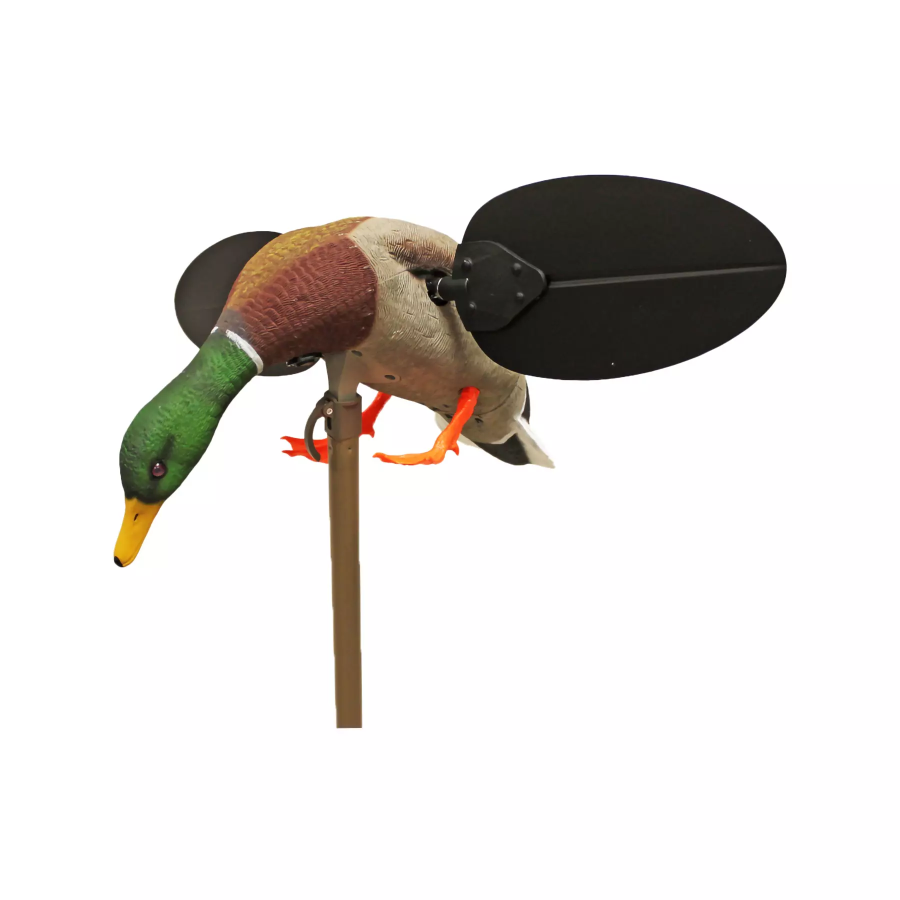 MOJO Mallard Drake UN3481