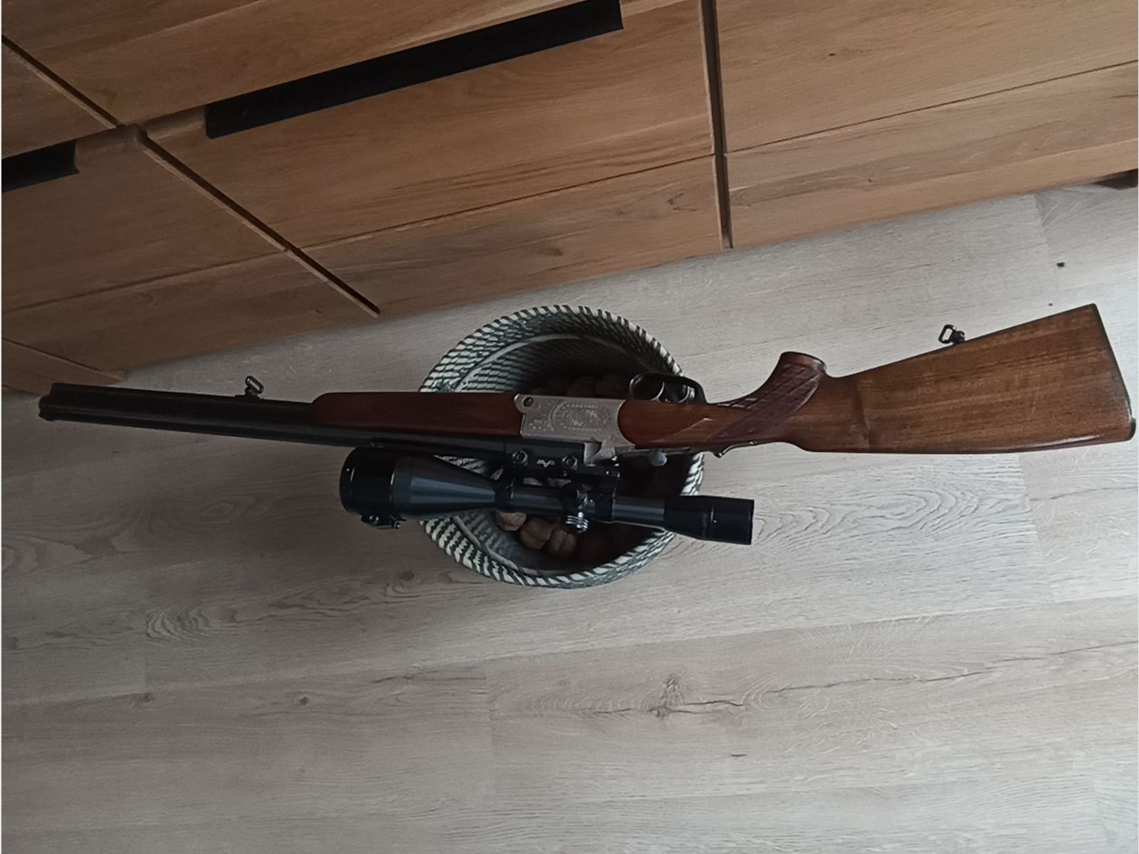Blaser es 67