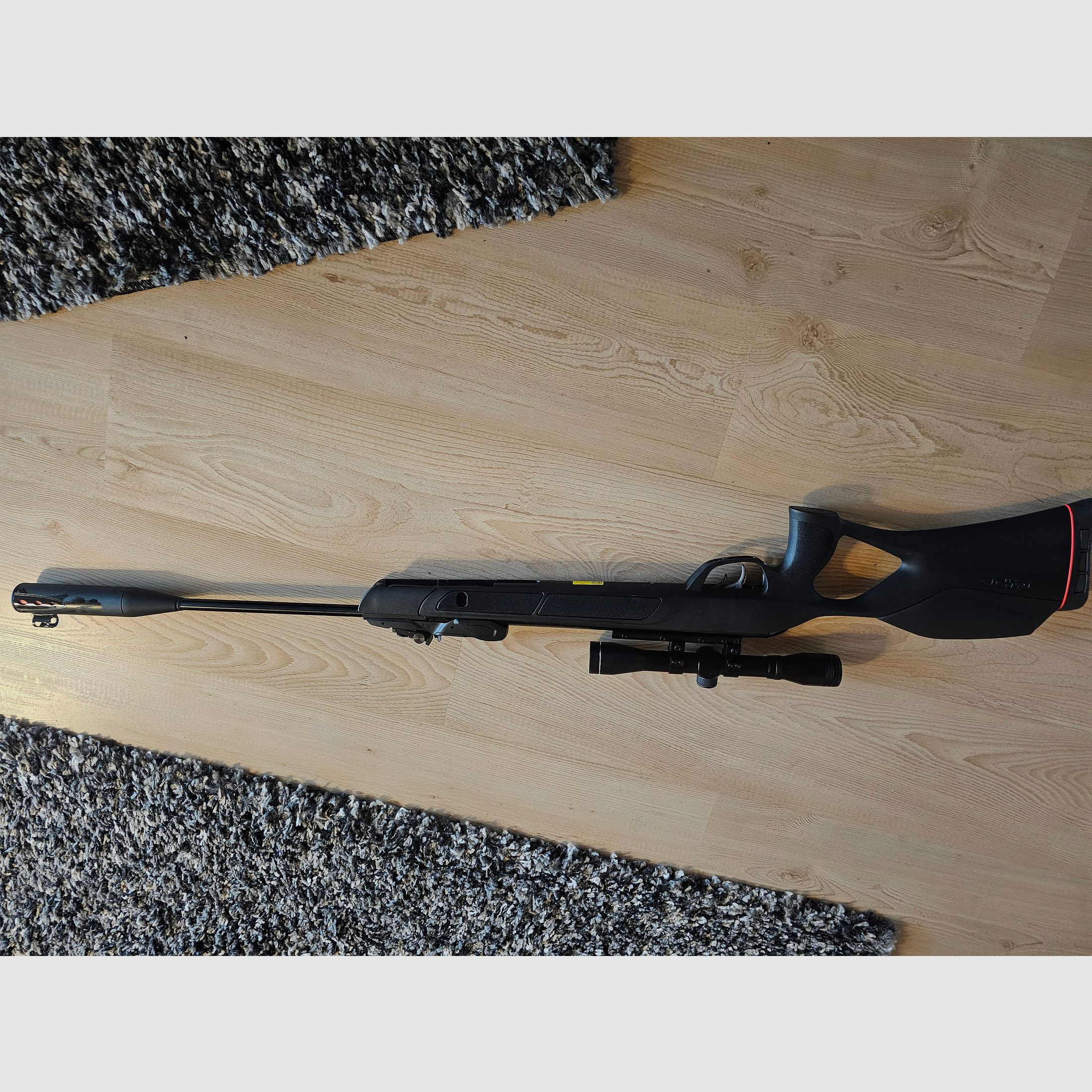 Gamo 10 Schuss Luftgewehr