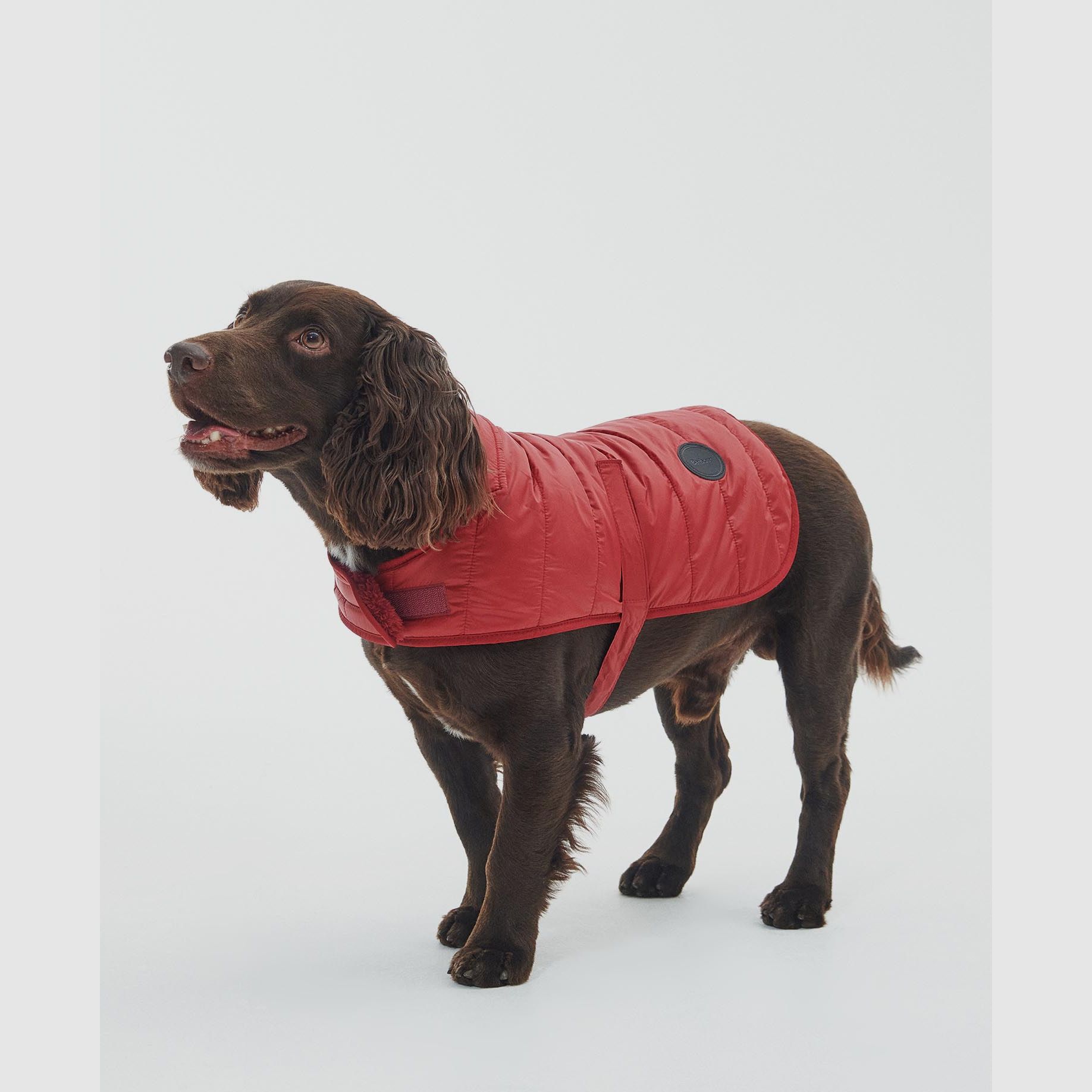 Barbour Hundemantel gesteppt mit Teddy-Futter
