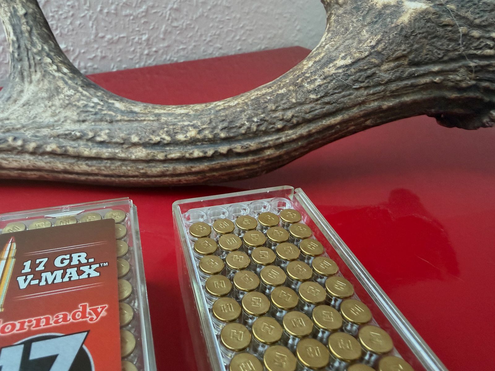 235 Schuss .17 HMR (Hornady & CCI) 17GR VMAX