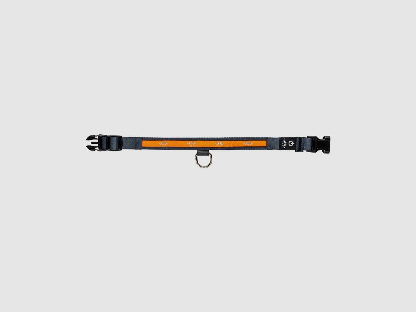 Blaser LED Dog Collar, image 1 of 2