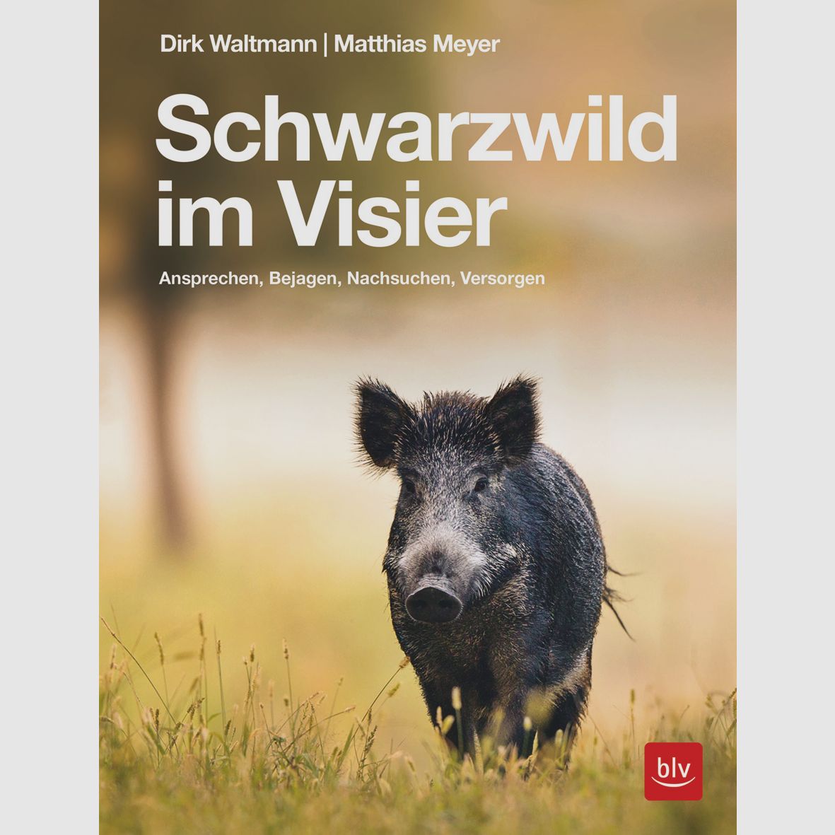 Schwarzwild im Visier