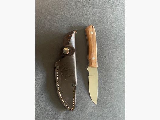 Miguel Nieto Roadrunner Spanje Vanadium 1.4116