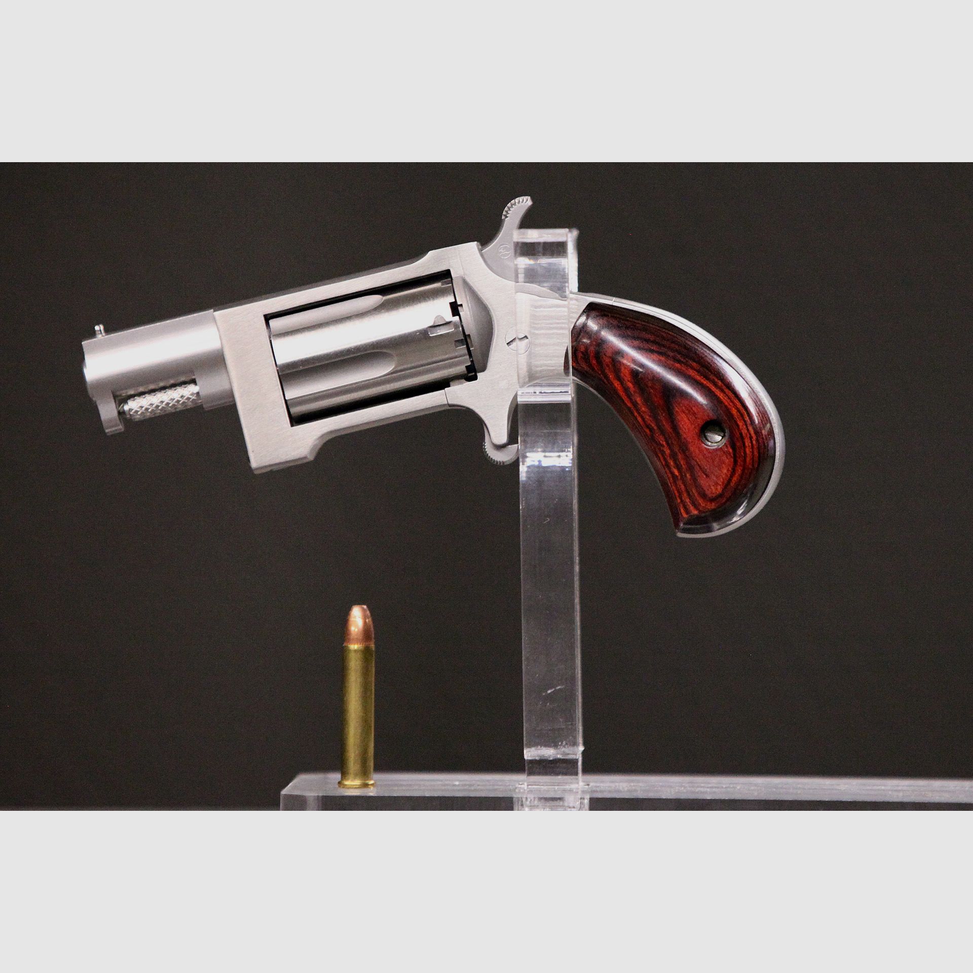 NAA Derringer Sidewinder, image 1 sur 5