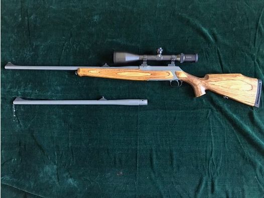 Sauer	 202 Alaska