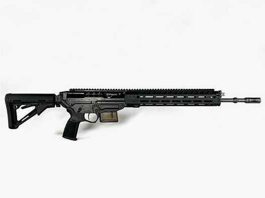 Sig Sauer SG 560 Sport