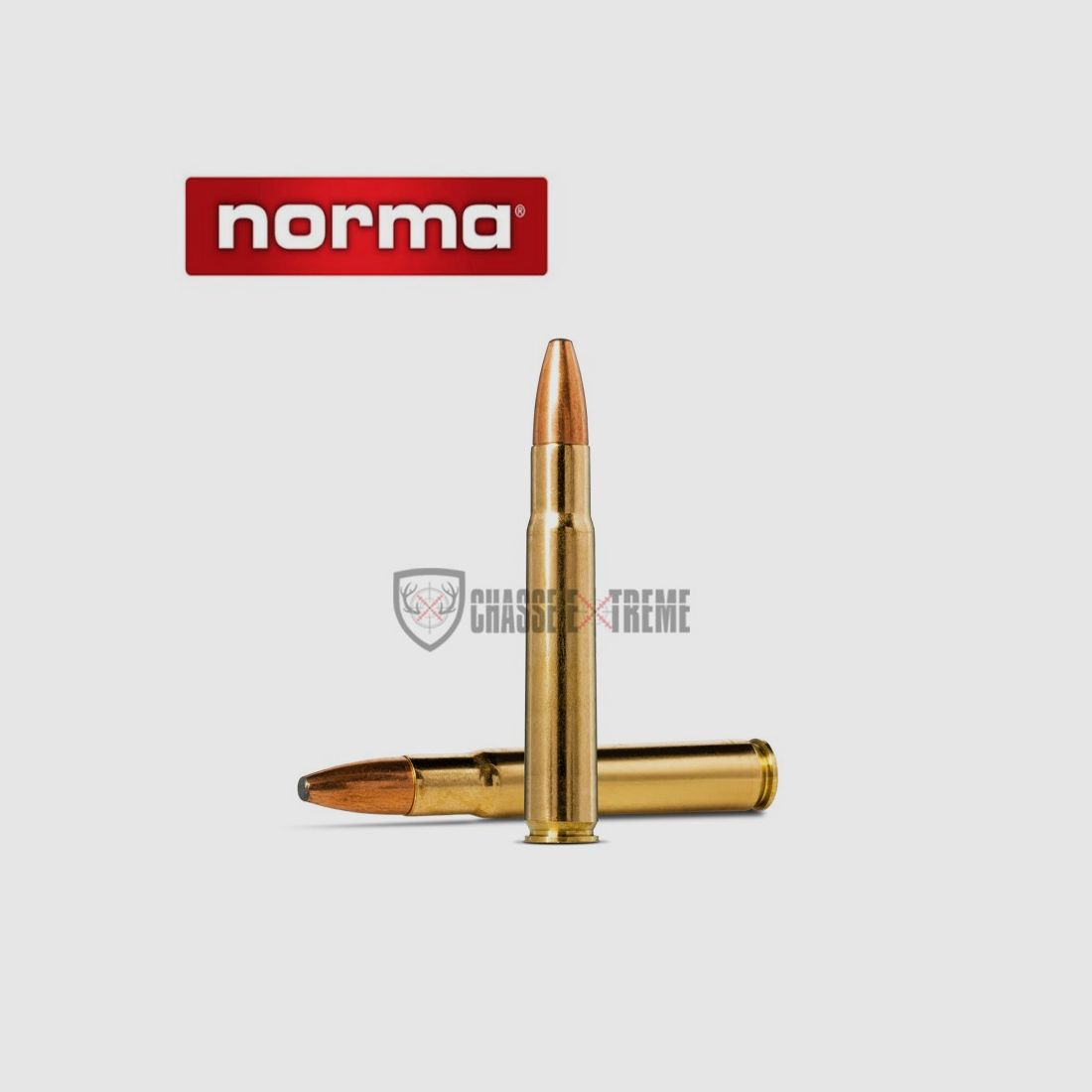 20 Patronen NORMA Kal. 35 Whelen 250gr Oryx
