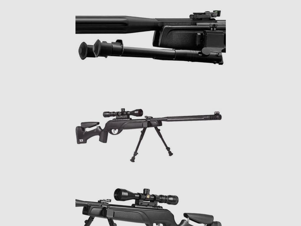 Gamo HPA Zweibein