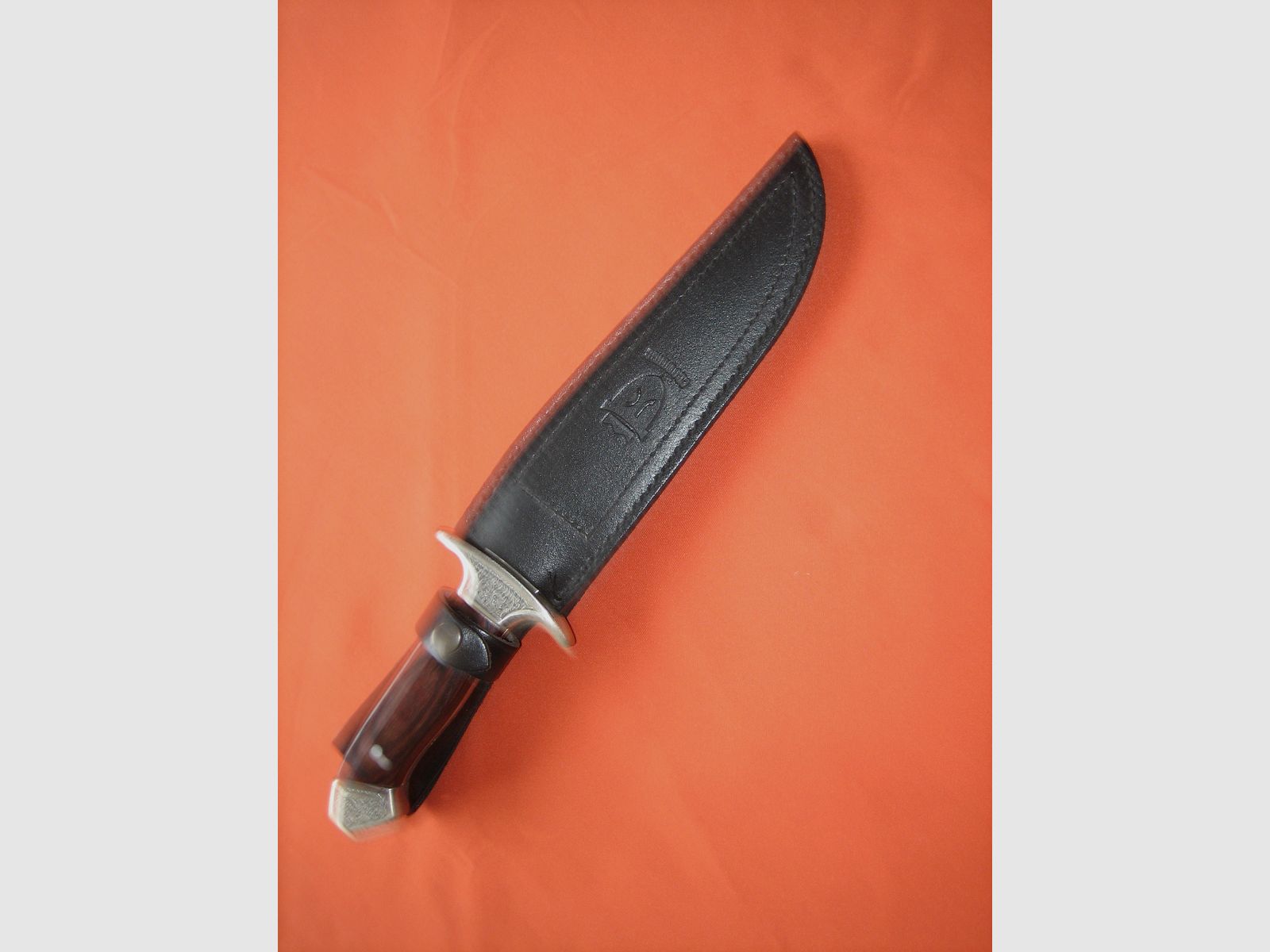 Cuchillo de exterior Camel de acero inoxidable 440 - NUEVO