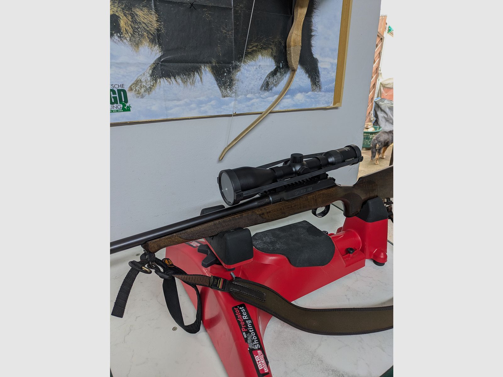 Büchse Sauer 101Forest