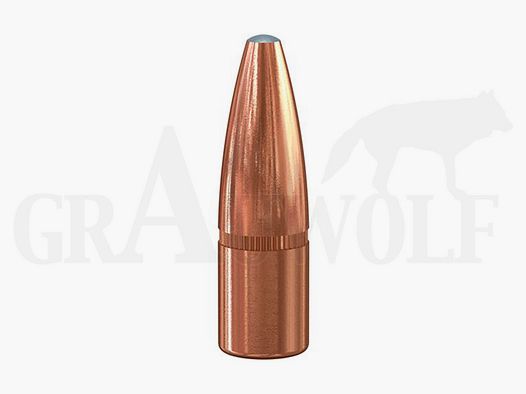 .308 / 7,62 mm 165 gr / 10,7 g Speer Grand Slam Balas 50 Piezas