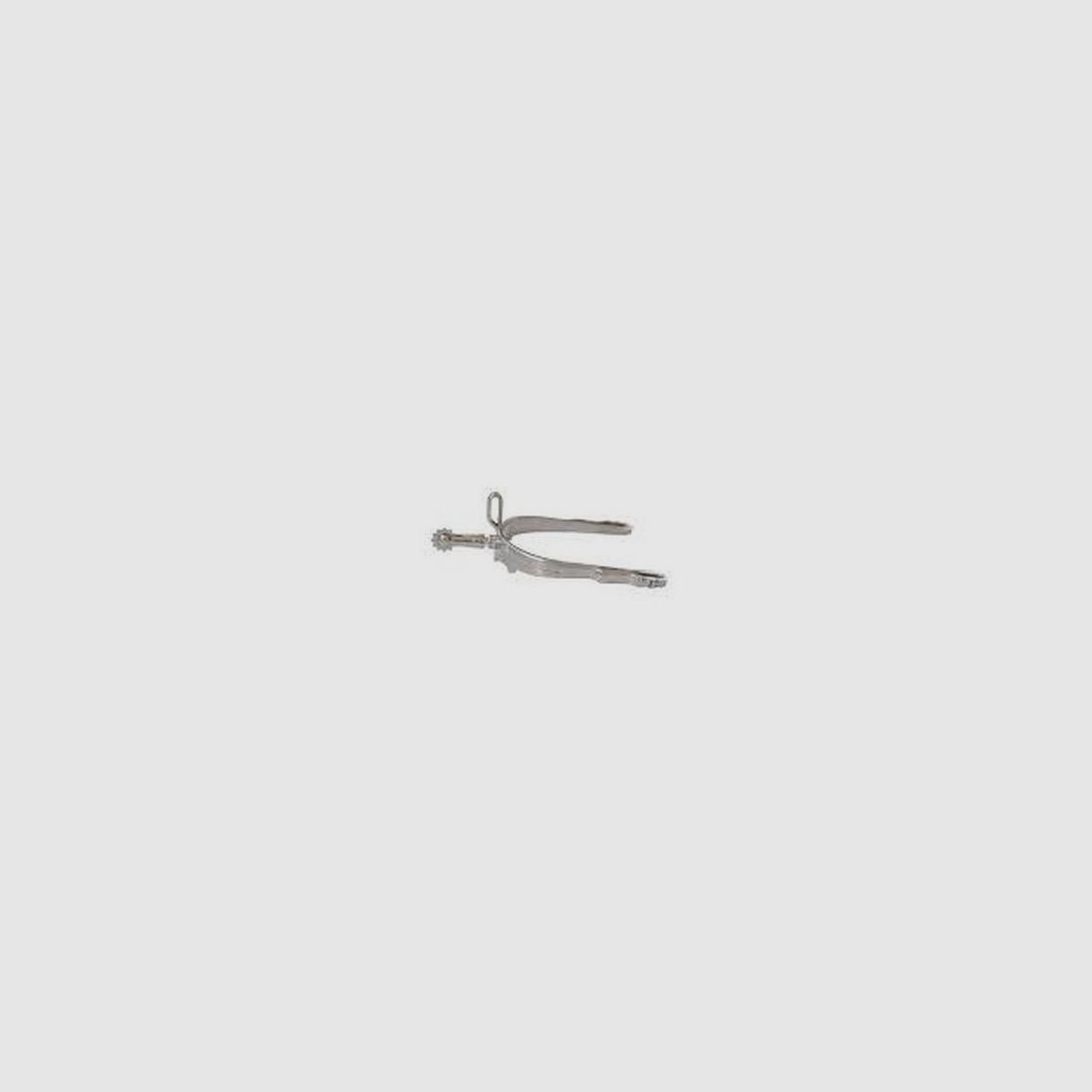 Eisen-Sporen Gallo gerade Inox