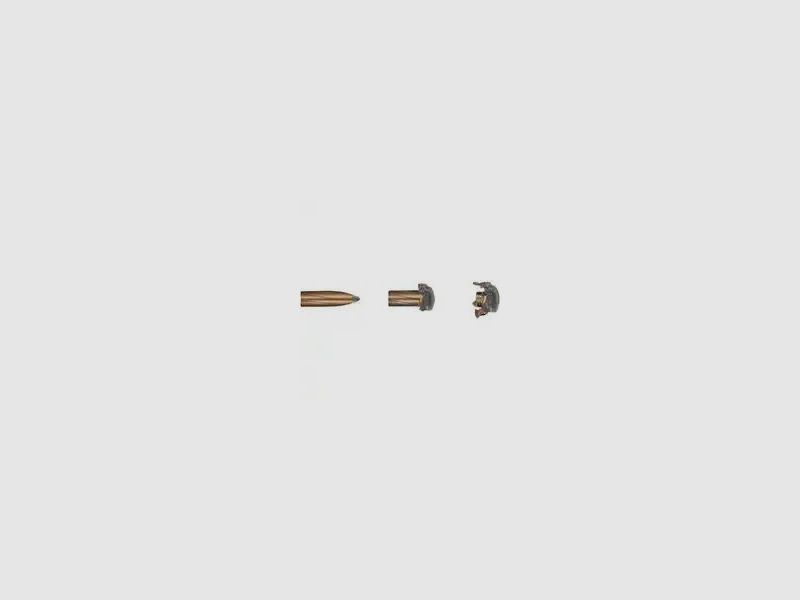 GECO GECO SOFTPOINT partial jacket 11.0g 170grs