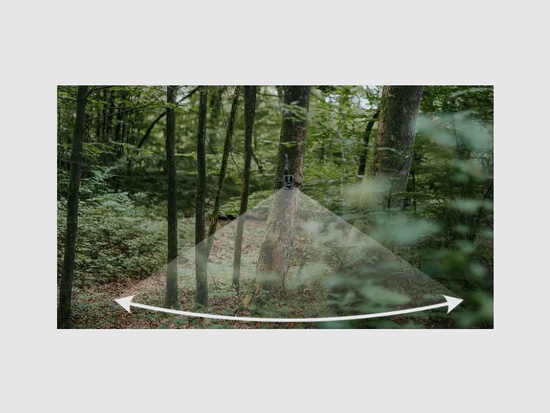 Fotocamera da caccia Modern Hunter 4G, immagine 3 di 3