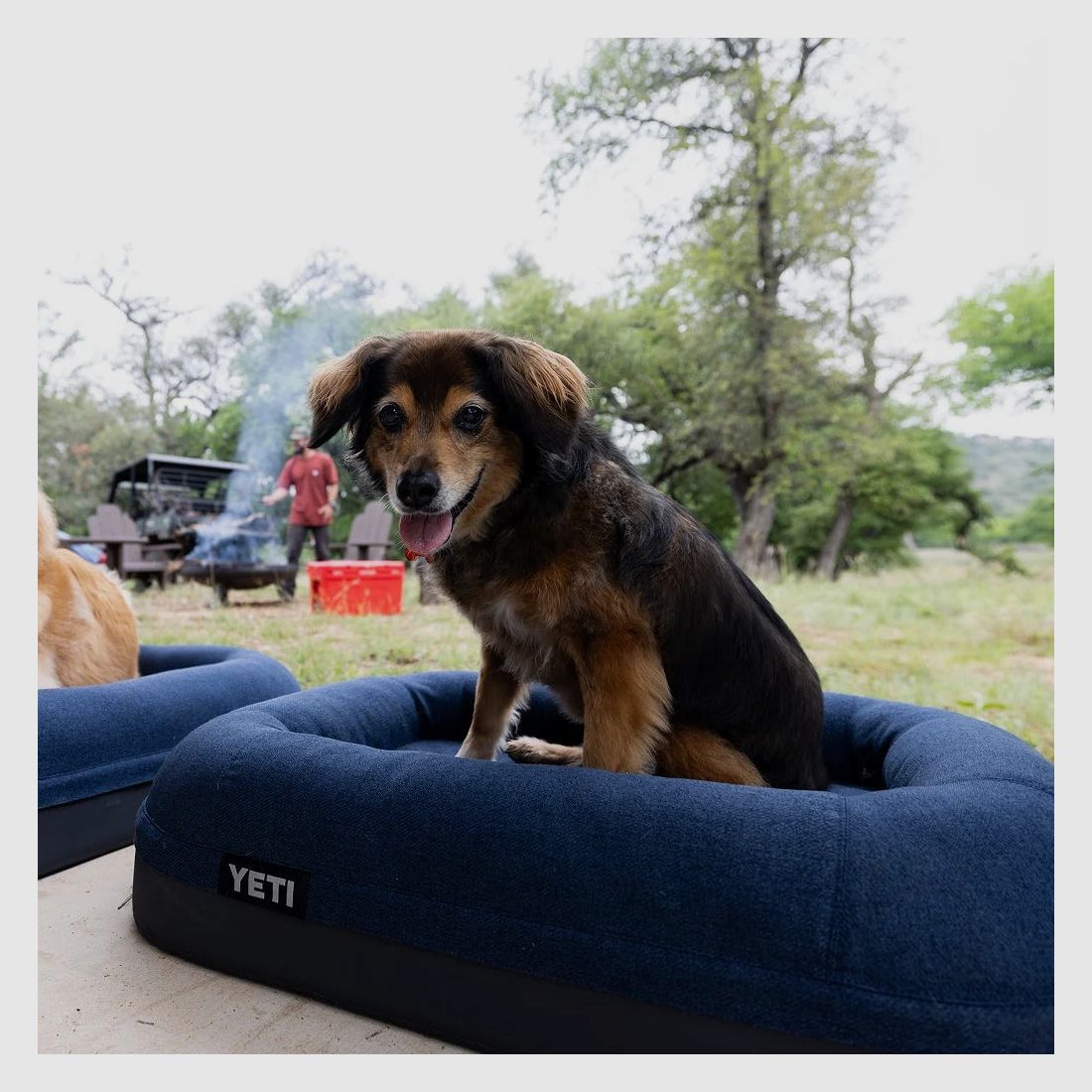YETI® Boomer Hundebett Small - Navy, Bild 11 von 12