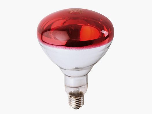 PHILIPS IR Schraubampulle 150W