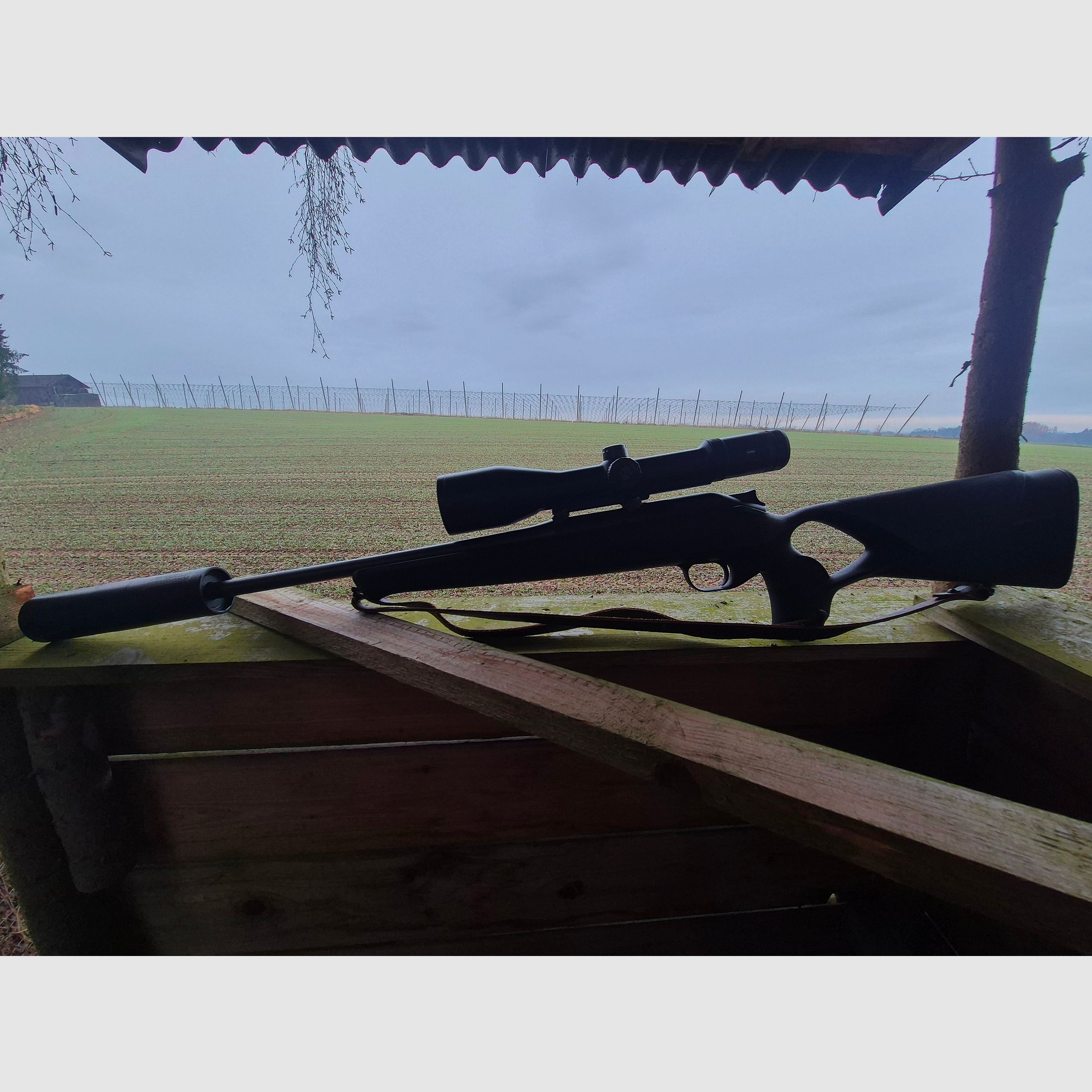 Blaser R8 Professional Success