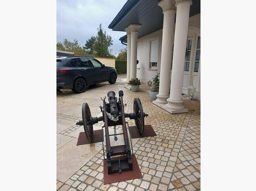 GUN, CANON Vendita di cannoni da giardino per sparare fuochi d'artificio