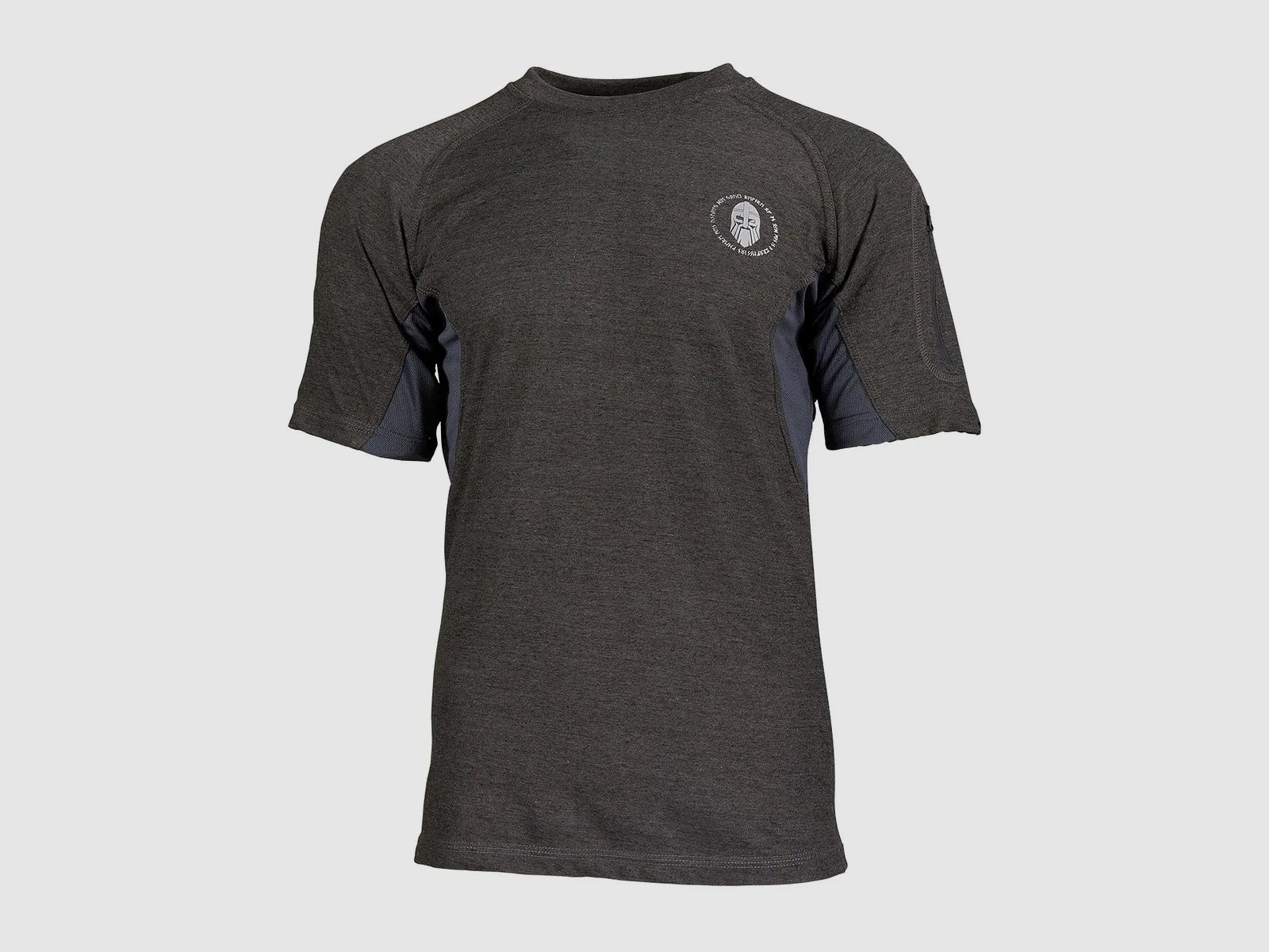 Ragnar Raids Ragnar Raids T-Shirt Aesir Tour grau