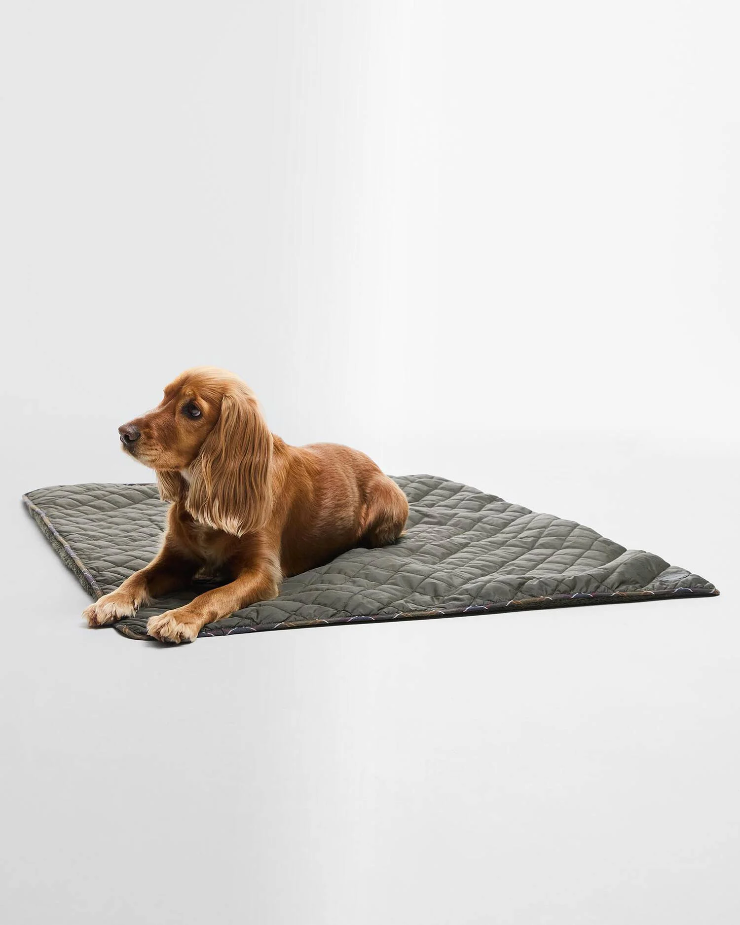 Barbour Stepp- und Fleece-Decke, Bild 3 von 3