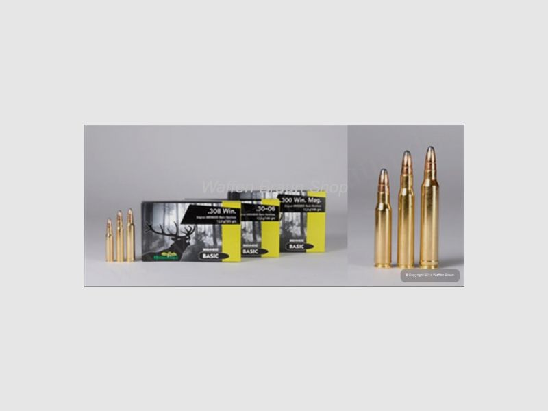 BRENNEKE .30-06 BASIC 12G A20